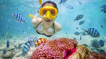Nemo Island Snorkeling Cruise with Lunch From Hurghada