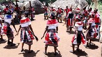Kenya Safari Experience in Nairobi Tour