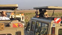 5 Days 4 Nights Masai Mara & Nakuru Private Safari Peak Season