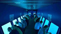 Panorama Semi-Submarine & Snorkeling Tour from Hurghada