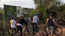 Private Safari Tour in Lake Mburo