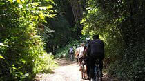 Rau Forest Bike tour