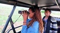 Amboseli Day Trip with Pickup