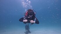 Abu Dhabi PADI Open Water Diver Course