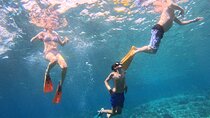 From Bali: Nusa Penida Full Day Tour and Snorkeling