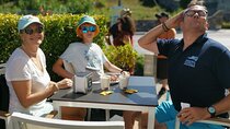 Explore Sintra All Palaces, Stunning Cascais Tour hop on hop off