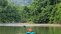 Full Rainforest Experience: Kayaks, Waterfall and Embera village 