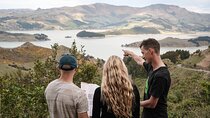 Christchurch Highlights Tour (Full Day Private)