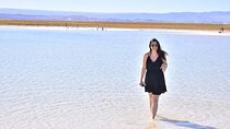 Cejar Eyes of the Salt Lake and Tebenquiche Lake Tour