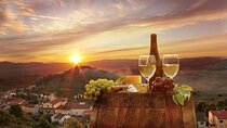 Special Chianti Afternoon Wine Tour from Florence