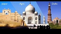  Ranthambore Jungle safari with Golden Triangle tour