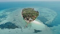 Prison Island Half Day Tour in Zanzibar