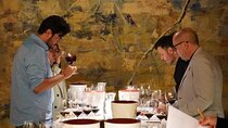 Full Day Colchagua VIK - Montes Wine Experience