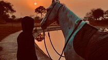 2 Hour - Horseback Ride Across Desert and Sea in Hurghada