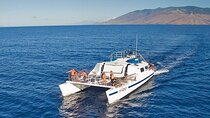 From Ma'alaea Harbor: Sunset Whale Watch Tour Aboard the Malolo