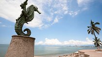 One Way Private Transfer from Puerto Vallarta to Guadalajara