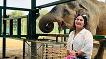 From Delhi: Taj Mahal Sunrise Tour w/ Elephant Conservation