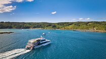 Tiritiri Matangi Island Discovery - from Auckland
