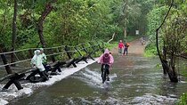Cat Tien National Park 2-Day Tour: Biking, Trekking, Safari Night