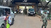 Maasai Mara Day Trip From Nairobi