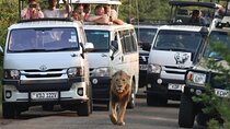 Maasai Mara Day Trip From Nairobi