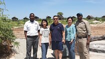 4 Days Livingstone and Chobe National Park Tour