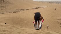 Sandboarding Trip to Timlaline Sanddunes in Sunset