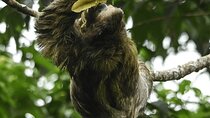 Manuel Antonio National Park *Group tour/Park ticket NOT included