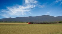 Railbed Brisbane to Cairns Train+Great Barrier Reef Day Tour
