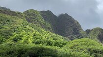 Explore Maui Private Tour