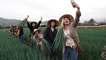 Yilan Scallion Field Guide and Pie DIY Jiaoxi Hot Spring from TPE