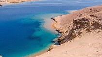 Ras Mohamed & White Island Snorkeling & Diving - Sharm el sheikh