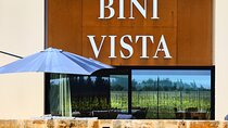 Discover the Ambition to Craft Mallorca’s Finest Wines and Beyond