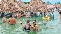 Visit Cholon & Baru with lunch