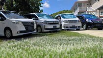 St Lucia Private Round Trip Hewanorra Airport Transfers to North Hotels