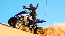 Luxury Shared Desert Safari tour with(Camel and Quad Bike OPTION)