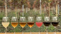 Full Day Private Wine & Beer Tour in Kakheti Region with lunch! 