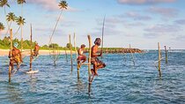 Day trips to Galle from colombo Visiting Its Highlights 