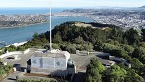 Private Dunedin City & Peninsula Scenery Day Tour up to 4 