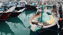 North Qatar Guided Expedition to Nature Charms
