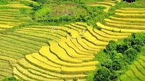 Sapa Trekking Private Tour With Ethnic Guide From Sapa/Hanoi