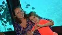 Unique Sea Scope Semi-Submarine Trip with Transfer - El Quseir