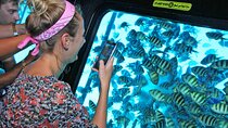 Semi Submarine Sea Scope with Snorkeling Experience in Hurghada