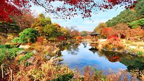 Day Trip to Nami Island with The Garden of Morning Calm