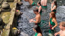 Ubud 1 Day Private Tour