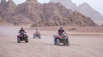 Super Safari ATV Bike Camel Ride & Bedouin Dinner–Sharm El Sheikh