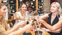 Private Wine and Food Tasting in Bucharest