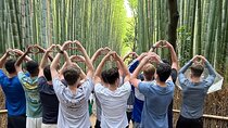 KYOTO Explore Top Highlights by Private Walking Tour