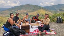 Douro valley day trip from Porto: vineyard hike & local picnic