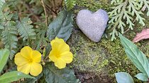 4 Day Yoga Hiking and Sound Healing Retreat in Nepal